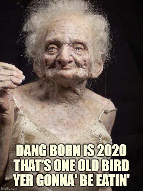 Sexy old woman | DANG BORN IS 2020 THAT'S ONE OLD BIRD YER GONNA' BE EATIN' | image tagged in sexy old woman | made w/ Imgflip meme maker