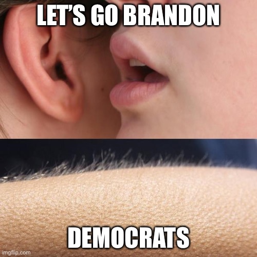 Whisper and Goosebumps | LET’S GO BRANDON; DEMOCRATS | image tagged in whisper and goosebumps | made w/ Imgflip meme maker