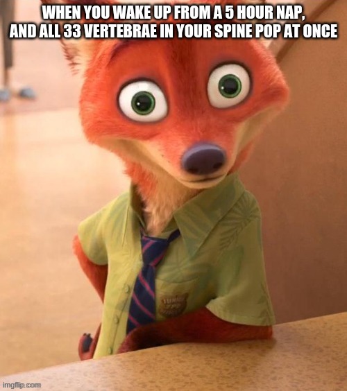 "Hey stepbro, you popping popcorn in here?" | WHEN YOU WAKE UP FROM A 5 HOUR NAP, AND ALL 33 VERTEBRAE IN YOUR SPINE POP AT ONCE | image tagged in memes | made w/ Imgflip meme maker