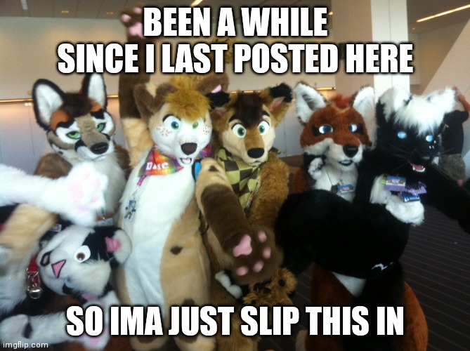 Here | BEEN A WHILE SINCE I LAST POSTED HERE; SO IMA JUST SLIP THIS IN | image tagged in furries,furry | made w/ Imgflip meme maker