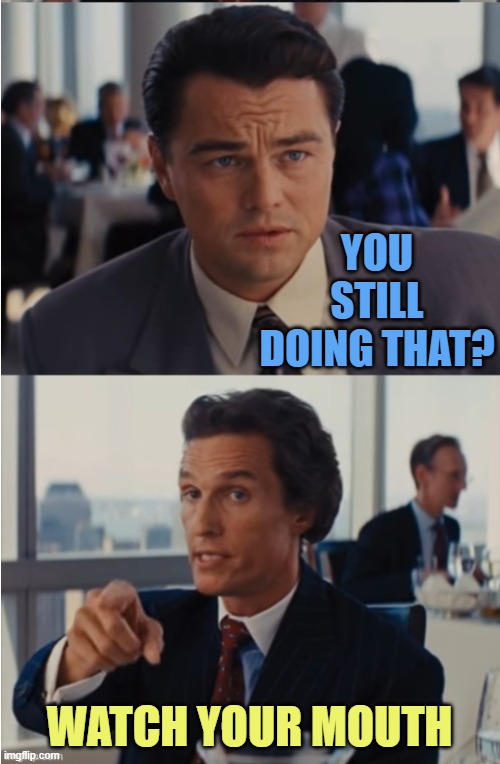 Wolf of Wall Street | YOU STILL DOING THAT? WATCH YOUR MOUTH | image tagged in wolf of wall street | made w/ Imgflip meme maker