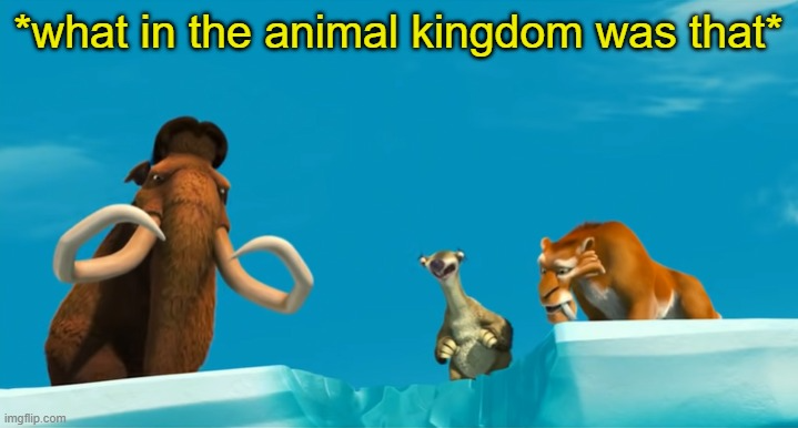 High Quality what in the animal kingdom was that Blank Meme Template