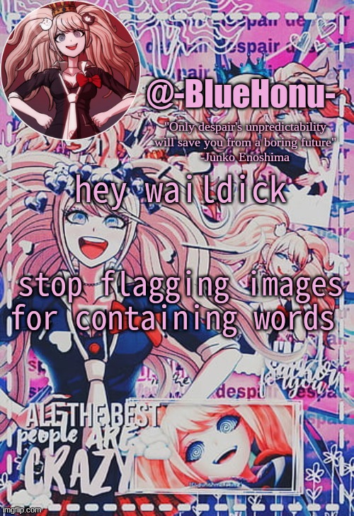 I just saw like 7 flagged images for containing words | hey waildick; stop flagging images for containing words | image tagged in honu's despair temp | made w/ Imgflip meme maker