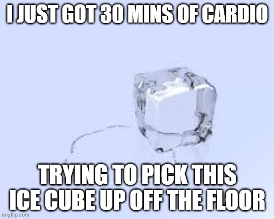 Ice Cube Cardio | I JUST GOT 30 MINS OF CARDIO; TRYING TO PICK THIS ICE CUBE UP OFF THE FLOOR | image tagged in ice cube,cardio,workout | made w/ Imgflip meme maker