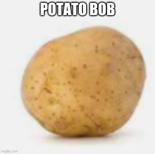POTATO BOB | image tagged in lol | made w/ Imgflip meme maker