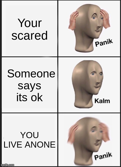 Panik Kalm Panik | Your scared; Someone says its ok; YOU LIVE ANONE | image tagged in memes,panik kalm panik | made w/ Imgflip meme maker