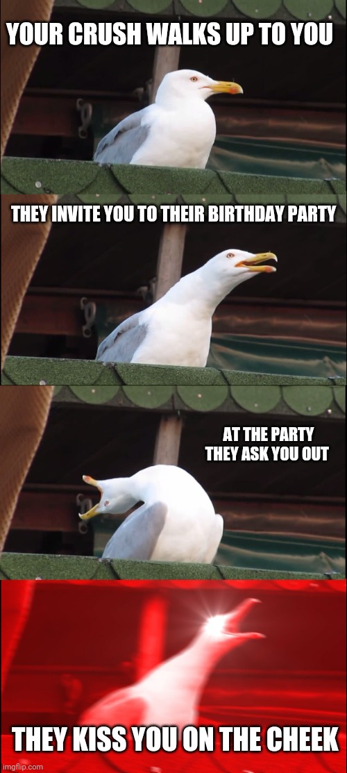 Inhaling Seagull Meme | YOUR CRUSH WALKS UP TO YOU; THEY INVITE YOU TO THEIR BIRTHDAY PARTY; AT THE PARTY THEY ASK YOU OUT; THEY KISS YOU ON THE CHEEK | image tagged in memes,inhaling seagull | made w/ Imgflip meme maker