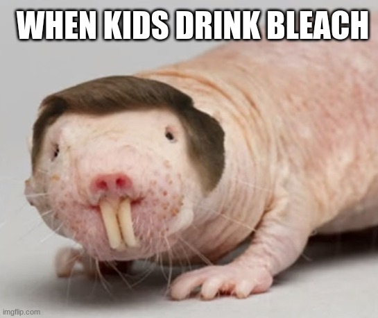 bleach kids | WHEN KIDS DRINK BLEACH | image tagged in bad luck brian | made w/ Imgflip meme maker