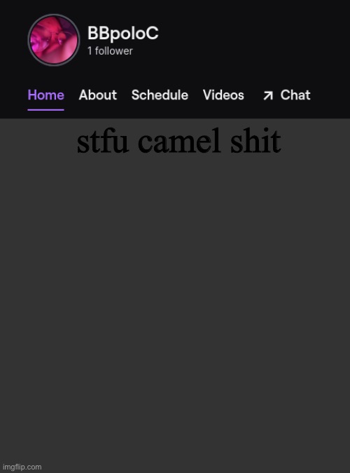 Twitch template | stfu camel shit | image tagged in twitch template | made w/ Imgflip meme maker