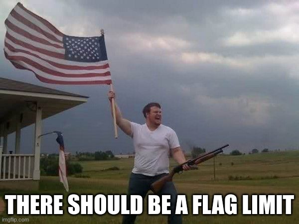 i'm tired of MS_Memer_Group getting hit with flags | THERE SHOULD BE A FLAG LIMIT | image tagged in american flag shotgun guy | made w/ Imgflip meme maker