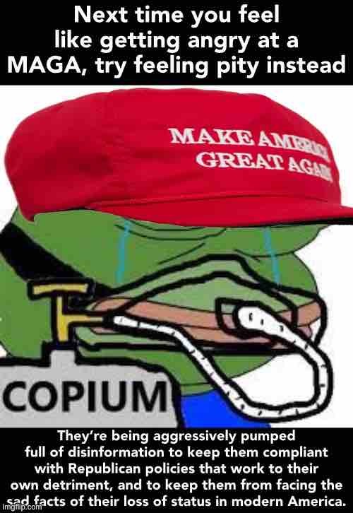 They’re trapped in an abusive relationship with a Republican Party that feeds off their status anxiety and misguided patriotism | image tagged in maga,copium,maga copium,pepe,pepe the frog,republicans | made w/ Imgflip meme maker