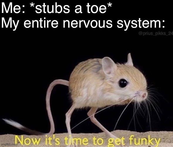 Now it’s time to get funky |  Me: *stubs a toe*; My entire nervous system: | image tagged in now it s time to get funky | made w/ Imgflip meme maker