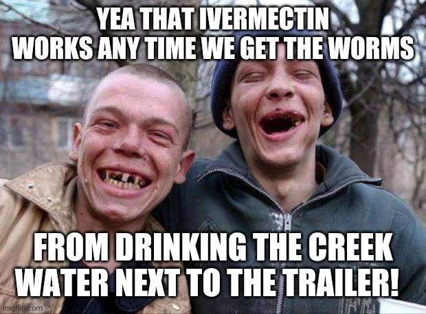 No teeth | YEA THAT IVERMECTIN WORKS ANY TIME WE GET THE WORMS FROM DRINKING THE CREEK WATER NEXT TO THE TRAILER! | image tagged in no teeth | made w/ Imgflip meme maker