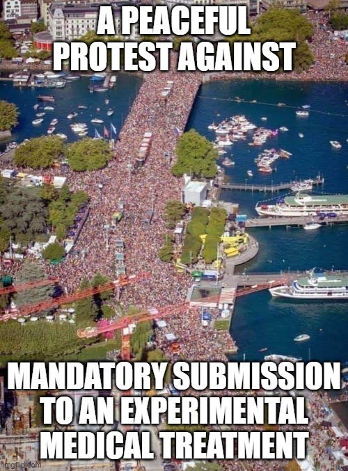 Peaceful protest | A PEACEFUL PROTEST AGAINST; MANDATORY SUBMISSION TO AN EXPERIMENTAL MEDICAL TREATMENT | image tagged in memes | made w/ Imgflip meme maker