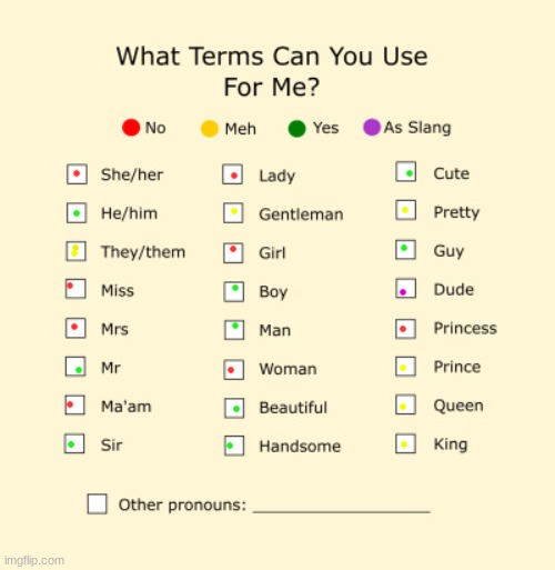 idk- | image tagged in pronouns sheet | made w/ Imgflip meme maker