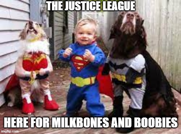 The Heroes We Didn't Know We Needed | THE JUSTICE LEAGUE; HERE FOR MILKBONES AND BOOBIES | image tagged in superheroes | made w/ Imgflip meme maker