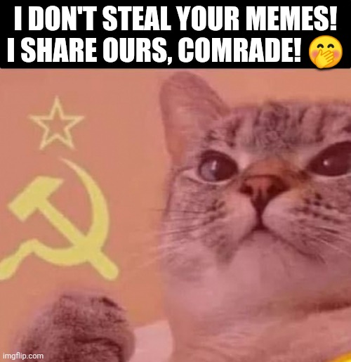 I don't steal memes! | I DON'T STEAL YOUR MEMES! I SHARE OURS, COMRADE! 🤭 | image tagged in cat,communism,memes,stealing memes | made w/ Imgflip meme maker