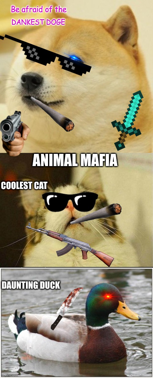 Be afraid of the; DANKEST DOGE; ANIMAL MAFIA; COOLEST CAT; DAUNTING DUCK | image tagged in memes,doge,scared cat,actual advice mallard | made w/ Imgflip meme maker