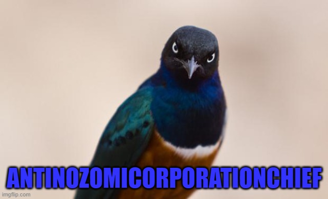 Evil Bird | ANTINOZOMICORPORATIONCHIEF | image tagged in evil bird | made w/ Imgflip meme maker