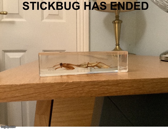 Goodbye you were not good |  STICKBUG HAS ENDED | image tagged in goodbye,happy,yes | made w/ Imgflip meme maker