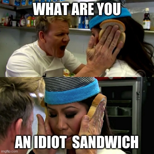 Gordon Ramsay Idiot Sandwich | WHAT ARE YOU AN IDIOT  SANDWICH | image tagged in gordon ramsay idiot sandwich | made w/ Imgflip meme maker