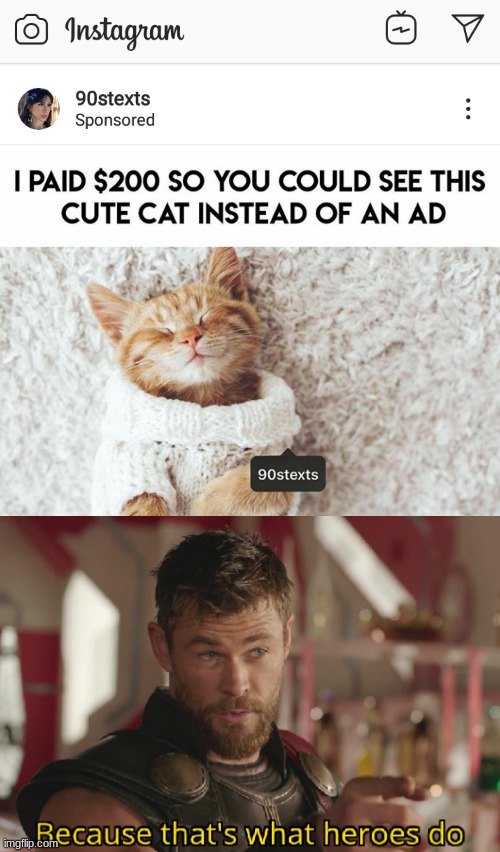 Cute! | image tagged in cats,cute | made w/ Imgflip meme maker