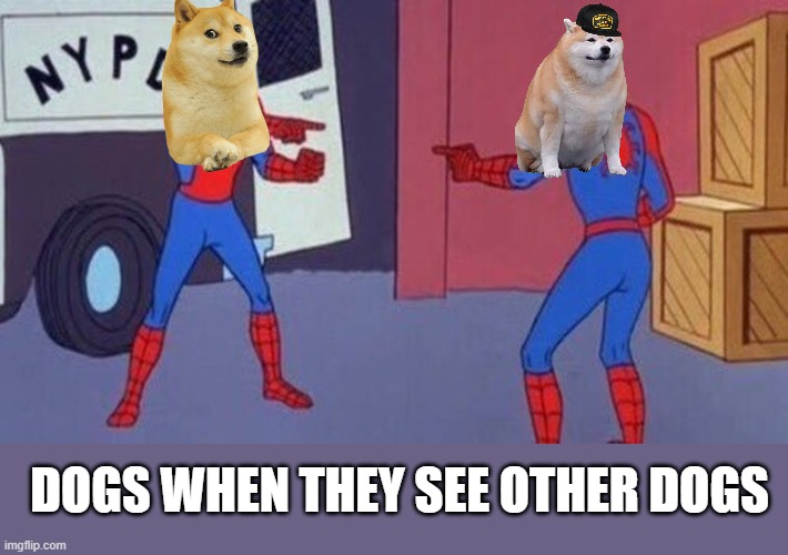 DOgeS | DOGS WHEN THEY SEE OTHER DOGS | image tagged in spiderman pointing at spiderman | made w/ Imgflip meme maker