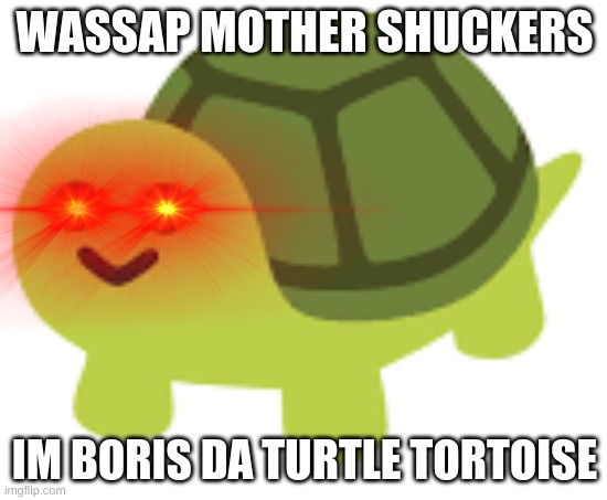 Boris is back | WASSAP MOTHER SHUCKERS; IM BORIS DA TURTLE TORTOISE | image tagged in turtle | made w/ Imgflip meme maker