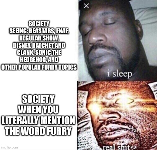 I question why society acts like babies to this, their reactions are disgraceful. | SOCIETY SEEING: BEASTARS, FNAF, REGULAR SHOW, DISNEY, RATCHET AND CLANK, SONIC THE HEDGEHOG, AND OTHER POPULAR FURRY TOPICS; SOCIETY WHEN YOU LITERALLY MENTION THE WORD FURRY | image tagged in i sleep real shit,furries,furry,furry memes,the furry fandom | made w/ Imgflip meme maker