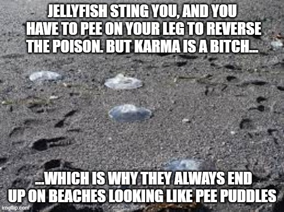 Jellyfish Sting Survivors: Karma's got your back | JELLYFISH STING YOU, AND YOU  HAVE TO PEE ON YOUR LEG TO REVERSE THE POISON. BUT KARMA IS A BITCH... ...WHICH IS WHY THEY ALWAYS END UP ON BEACHES LOOKING LIKE PEE PUDDLES | image tagged in jellyfish,jelly,slime,poison,memes,pee | made w/ Imgflip meme maker