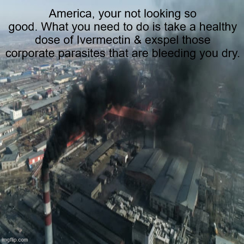 JD54 | America, your not looking so good. What you need to do is take a healthy dose of Ivermectin & exspel those corporate parasites that are bleeding you dry. | image tagged in pollution | made w/ Imgflip meme maker