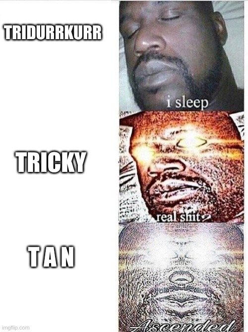 I sleep meme with ascended template | TRIDURRKURR TRICKY T A N | image tagged in i sleep meme with ascended template | made w/ Imgflip meme maker