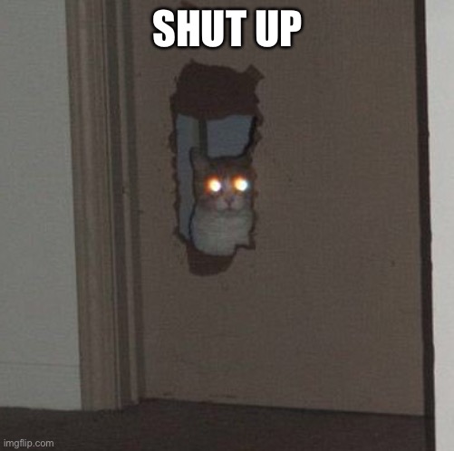 Cat staring through the door | SHUT UP | image tagged in cat staring through the door | made w/ Imgflip meme maker