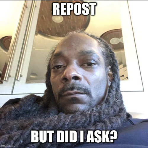 did I ask | REPOST; BUT DID I ASK? | image tagged in did i ask,funny,memes,snoop dogg | made w/ Imgflip meme maker