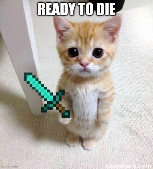 Cute Cat | READY TO DIE | image tagged in memes,cute cat | made w/ Imgflip meme maker