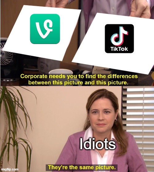 They're The Same Picture | Idiots | image tagged in memes,they're the same picture | made w/ Imgflip meme maker