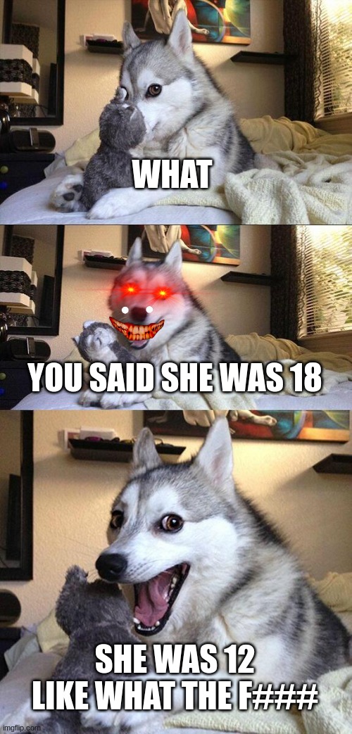 Bad Pun Dog Meme | WHAT; YOU SAID SHE WAS 18; SHE WAS 12 LIKE WHAT THE F### | image tagged in memes,bad pun dog | made w/ Imgflip meme maker