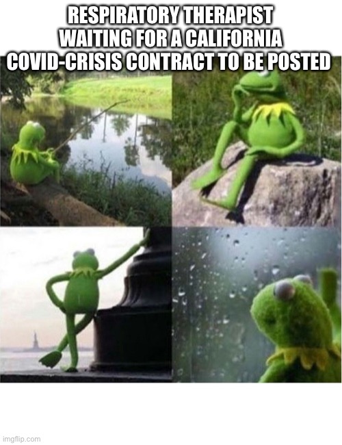 blank kermit waiting |  RESPIRATORY THERAPIST WAITING FOR A CALIFORNIA COVID-CRISIS CONTRACT TO BE POSTED | image tagged in blank kermit waiting,nurse,hospital | made w/ Imgflip meme maker