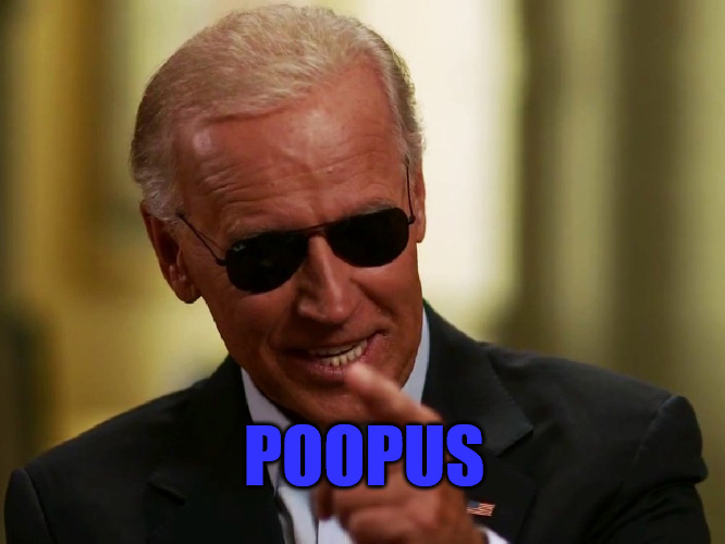 Poppus | POOPUS | image tagged in cool joe biden | made w/ Imgflip meme maker