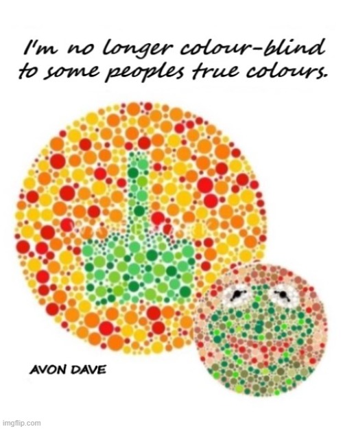 TRUE COLOURS | image tagged in colour blind,false,fake,kermit,ex,trust | made w/ Imgflip meme maker