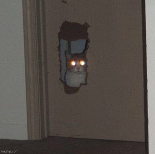 image tagged in cat staring through the door | made w/ Imgflip meme maker