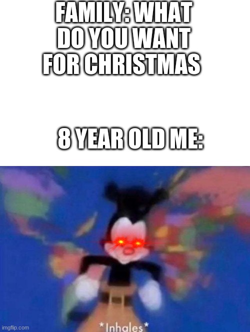 POV: your're a 8 year old | FAMILY: WHAT DO YOU WANT FOR CHRISTMAS; 8 YEAR OLD ME: | image tagged in inhales,memes,funny memes,funny | made w/ Imgflip meme maker