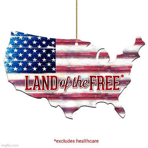 Land of the Free* | image tagged in memes,usa,american flag,healthcare,freedom,america | made w/ Imgflip meme maker