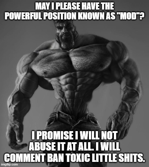 I will approve every rule-following image. | MAY I PLEASE HAVE THE POWERFUL POSITION KNOWN AS "MOD"? I PROMISE I WILL NOT ABUSE IT AT ALL. I WILL COMMENT BAN TOXIC LITTLE SHITS. | image tagged in gigachad | made w/ Imgflip meme maker