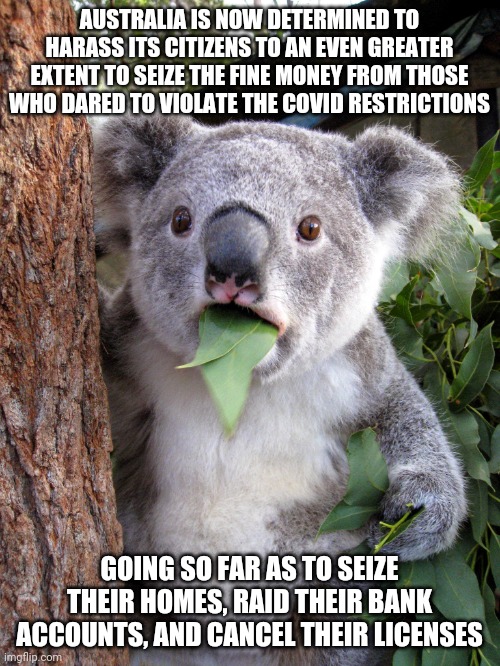 Australia never the land if the free | AUSTRALIA IS NOW DETERMINED TO HARASS ITS CITIZENS TO AN EVEN GREATER EXTENT TO SEIZE THE FINE MONEY FROM THOSE WHO DARED TO VIOLATE THE COVID RESTRICTIONS; GOING SO FAR AS TO SEIZE THEIR HOMES, RAID THEIR BANK ACCOUNTS, AND CANCEL THEIR LICENSES | image tagged in australian koala surprise wtf | made w/ Imgflip meme maker