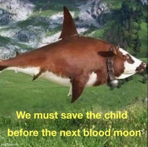 we-must-save-the-child-before-the-next-blood-moon-imgflip