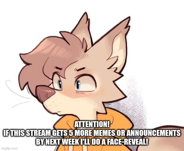 MAYBE! | ATTENTION!
IF THIS STREAM GETS 5 MORE MEMES OR ANNOUNCEMENTS BY NEXT WEEK I'LL DO A FACE-REVEAL! | image tagged in maybe,furry,confused | made w/ Imgflip meme maker