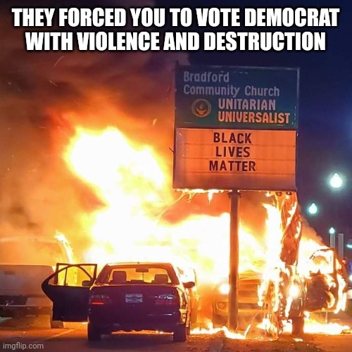 Black Lives Matter | THEY FORCED YOU TO VOTE DEMOCRAT
WITH VIOLENCE AND DESTRUCTION | image tagged in black lives matter | made w/ Imgflip meme maker
