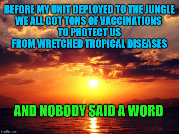 Sunset | BEFORE MY UNIT DEPLOYED TO THE JUNGLE
WE ALL GOT TONS OF VACCINATIONS 
TO PROTECT US
FROM WRETCHED TROPICAL DISEASES; AND NOBODY SAID A WORD | image tagged in sunset | made w/ Imgflip meme maker