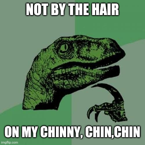 Philosoraptor | NOT BY THE HAIR; ON MY CHINNY, CHIN,CHIN | image tagged in memes,philosoraptor | made w/ Imgflip meme maker